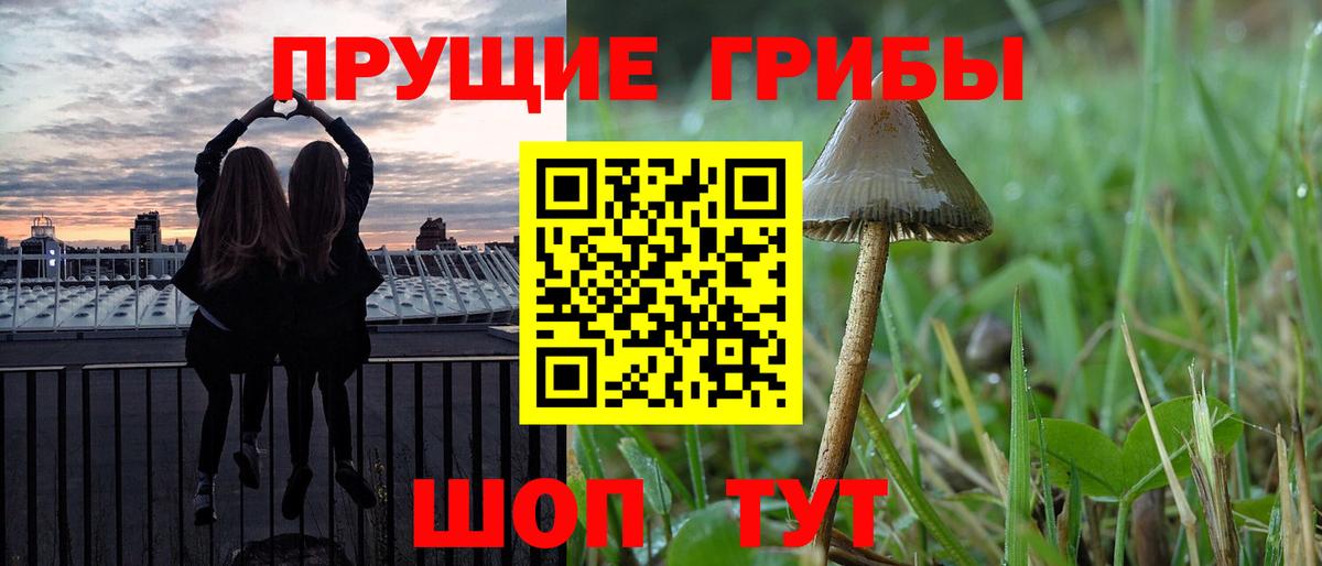 Галлюциногенные грибы Magic Shrooms Тихвин